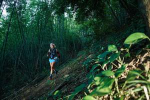 BIB: 
                            <button type="button" onclick="openModal(28123919)" class="btn btn-primary btn-sm float-right btn-popup" data-toggle="modal" data-target=".modal-high-quality">
                        <i class="fas fa-shopping-cart"></i> Add to Cart
                    </button>
                                            <button type="button" onclick="isThisMe(28123919, true)" class="btn btn-success btn-sm float-right btn-popup btn-isme hidden" data-toggle="tooltip" data-placement="bottom" title="นี่คือรูปของคุณใช่ไหม คลิกที่นี่เพื่อเอาเข้าอัลบั้ม">
                        <i class="fas fa-plus"></i> Add to album
                    </button>
                    <button type="button" onclick="isThisMe(28123919, false)" class="btn btn-warning btn-sm float-right btn-popup btn-isnotme hidden">
                        <i class="fas fa-ban"></i> Remove from album
                    </button>